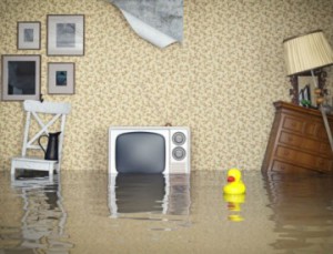 flooded basement